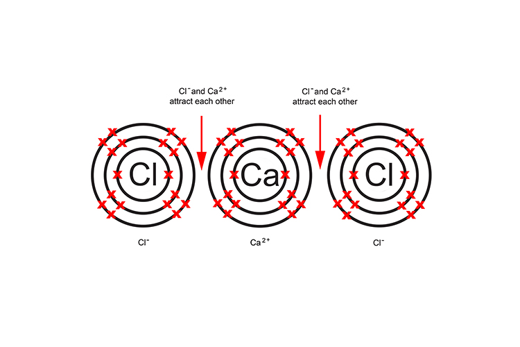 diagram showing how molecules attract ions